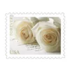 2024-12-07.webp